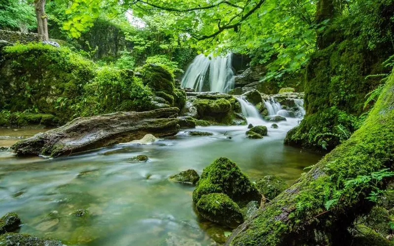 科技高质量
